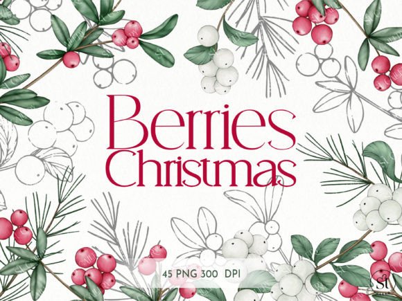 Water Colors of Christmas Berries: Illustrations Review
