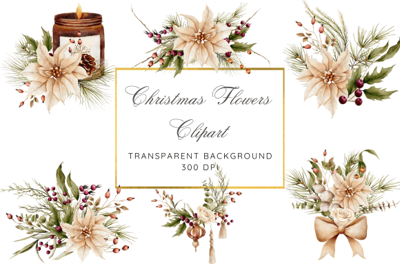 Watercolor Christmas Flowers Clipart & Illustrations Review