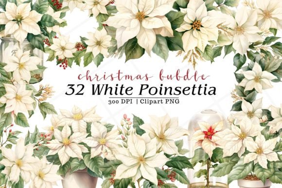 White Poinsettia Watercolor: Festive Illustrations